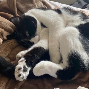 Meet your Posher, Kimberly